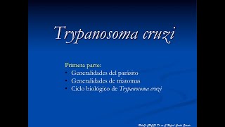 Trypanosoma primera parte [upl. by Annoled]