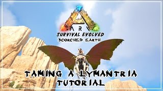 ARK Scorched Earth  How to tame a Lymantria  Tutorial [upl. by Ayikat]