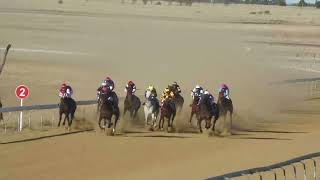 Longreach 20240615 Race 7 [upl. by Wesle]