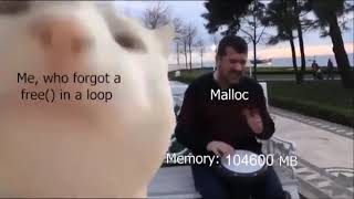 Malloc Meme [upl. by Medea442]