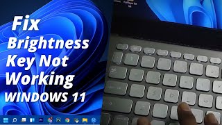 Brightness key not working in windows 11 Fix brightness keys not working problem in windows 11 [upl. by Eiramnwad]