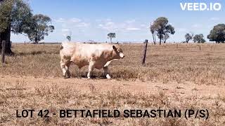 LOT 42  BETTAFIELD SEBASTIAN PS [upl. by Dlawso412]