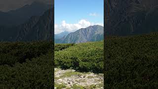 南アルプス百間平から【赤石岳】【悪沢岳】【荒川三山】の大絶景赤石岳 百閒平 悪沢岳 荒川岳荒川三山 塩見岳日本百名山 [upl. by Narton]