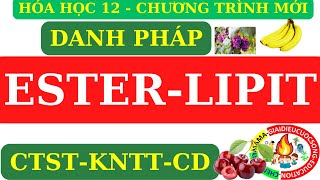 HÓA 12 MỚI  ESTER  LIPIT  GỌI TÊN CÁC CHẤT TRONG SGK CTSTKNTTCÁNH DIỀU CHƯƠNG TRÌNH MỚI [upl. by Sterner]