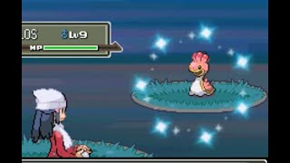 LIVE Shiny Shellos after 8902 REs Pokemon Platinum [upl. by Lyssa222]