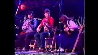 Irish traditional music  quotArcadyquot  with Sharon Shannon [upl. by Reseta]