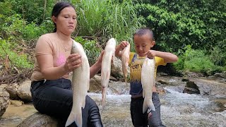 30kg of white fish were lost Weeding rice plants [upl. by Anaihs]