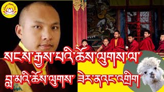 HH Karmapa’s speech about lama amp Lamaism rumtekkarmaekhenpo karmapa rinpoche tibettv voa [upl. by Uuge]