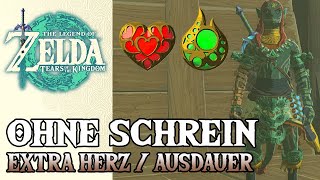 EXTRA HERZ  AUSDAUER CONTAINER BEKOMMEN I Ohne Schreinrätsel I Zelda Tears of the Kingdom Deutsch [upl. by Kavanagh997]