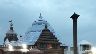 jagannath live darshan today hindi live [upl. by Annehcu102]