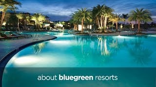 About Bluegreen Resorts [upl. by Eirek]