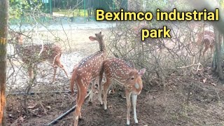 Beximco industrial park হরিন উট পাখি [upl. by Moran]