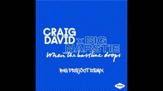 Craig David amp Big Narstie  When The Bassline Drops  B1G PR0J3CT Remix [upl. by Haze262]