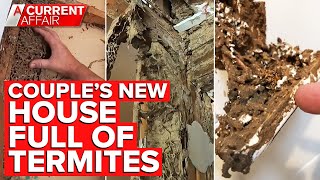 Millions of termites found in walls of couples new home  A Current Affair [upl. by Alyehc]