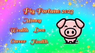 Pig Fortune 2023  Chinese Zodiac  Animal Sign  lucky2023 pigfortune chinesezodiac [upl. by Led45]