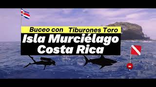 Buceando con tiburones toro Costa Rica Isla Murciélago [upl. by Bucher]