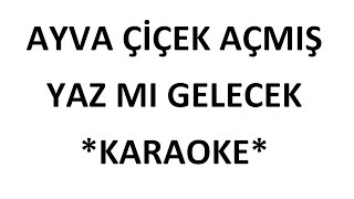 Ayva Çiçek Açmış Karaoke Yeni [upl. by Ilario221]