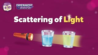 Scattering of Light Experiment  Science Experiments at Home ExperimentShorts [upl. by Uchish]