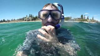 Snorkeling at Cottesloe Beach on a Good Day Perth WA [upl. by Onaled]