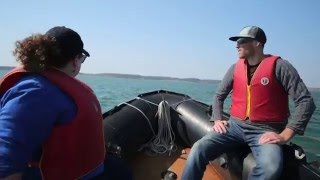 Serenading Churchills Beluga Whales with Cello [upl. by Rianon]