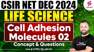 CSIR NET DEC 2024  Life Science  Concept And Questions  Cell Adhesion Molecules  02Dr Lalit Pal [upl. by Ursulette]