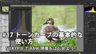 SILKYPIXでRAW現像をはじめよう 17 トーンカーブの基本的な使い方 [upl. by Heim]