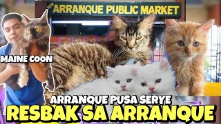 ANG PAGBABALIK SA ARRANQUE PET MARKET  PUSA SERYE  JUNE 27 2024 [upl. by Anala]