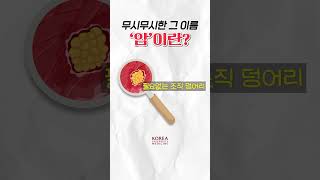 암이 이렇게 생기는 거였어 암팩트🍄 [upl. by Akiemat30]