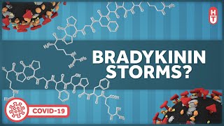 Bradykinin Storms and Covid Inflammation [upl. by Aleusnoc303]