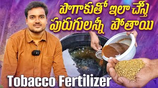 Tobacco Fertilizer ఖర్చు తక్కువ ఫలితం ఎక్కువ  ఈ సీజన్లో వచ్చే పురుగులన్నీ పారిపోతాయి [upl. by Pillow]