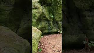 Beautiful and bizarre Eridge rocks sussex nature [upl. by Ocer]