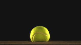 The Beauty of Slow Motion  Tennis Ball Bounce [upl. by Ruder232]