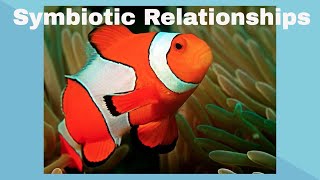 Examples of Symbiotic Relationships [upl. by Christmas621]