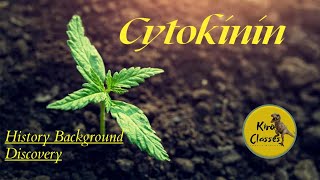 Cytokinin Plant Hormone  Historical Background  Discovery of Cytokinin  Chemical Nature [upl. by Alemak]