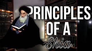 5 Core Principles of Shi’ism Explained  ShiaIslam UsulalDin IslamicBeliefs [upl. by Yekram]