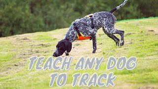 Train Any Dog to Track Using This System  Grassroots K9 [upl. by Nylhtiak150]