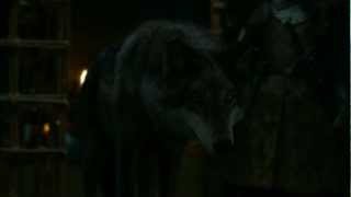 Game of Thrones Season 2 Direwolf Robb Stark vs Jaime Lannister HD [upl. by Barnaby]