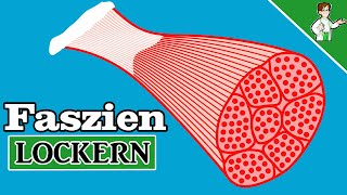 SO kannst du verklebte Faszien lockern  Top 5 Tipps ✅ [upl. by Aihsat]