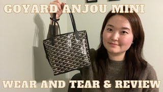 GOYARD ANJOU MINI REVIEW  WEAR AND TEAR goyard minianjou anjoumini [upl. by Shelby]