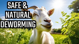 Goat Care 101 Natural Safe Dewormer Medication Revealed Your Goats Will Love to Eat Them [upl. by Kavita]