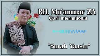 Surah Yaasin by KH Muammar ZA [upl. by Cornia]