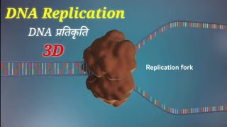 DNA Replication 3D Animation In Hindi  DNA प्रतिकृति  sciencevigyan [upl. by Stoffel]