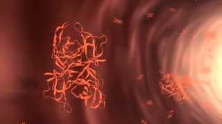 Mecanism of FAP Disease Familial Amyloidotic Polineuropathy [upl. by Cleres]