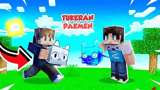 KITA MAIN PET SIMULATOR DI MINECRAFT [upl. by Neelhtac641]