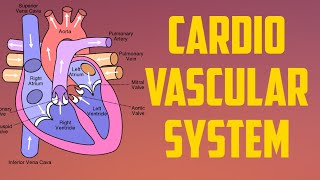 CARDIOVASCULAR SYSTEM  PART1 MEDICAL PHYSIOLOGY  UNIT3 [upl. by Sontich]