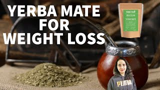 Yerba Mate For Weight Loss  Lose Weight Faster Than Green Tea [upl. by Tedder155]