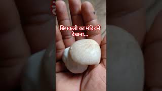 छिपकली astrology horoscope love hindi rashifal mahadev mahakal bholenath successtipsfacts [upl. by Sicnarf]