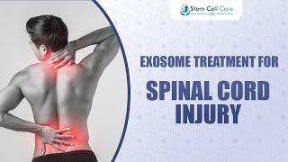 Restoring Hope for Spinal Cord Injury Patients  Exosome Therapy  Stem Cells  Spinal Cord Injury [upl. by Novehc]