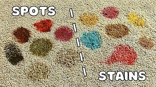 How to Remove Any Carpet Spot or Stain in Two Steps or Less [upl. by Enelrak987]