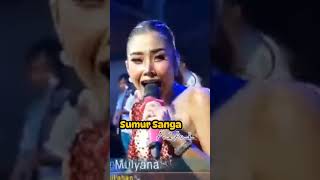 Anik Arnika  Sumur Sanga  Live Show New Arnika Jaya videoshort hiburan fyp [upl. by Kelula]